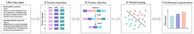 Discrimination of Thermophilic Proteins and Non-thermophilic Proteins Using Feature Dimension Reduction